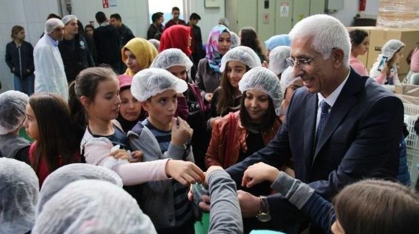 Minik &Ouml;ğrenciler Zeytinin Faydalarını &Ouml;ğrendi