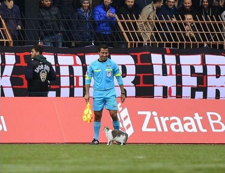 Ziraat Türkiye Kupası G5