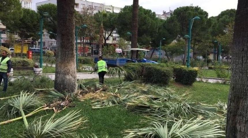 Edremit&rsquo;te Parklara Kış Bakımı