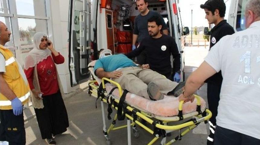 İncir Ağacından D&uuml;şen Adam Yaralandı