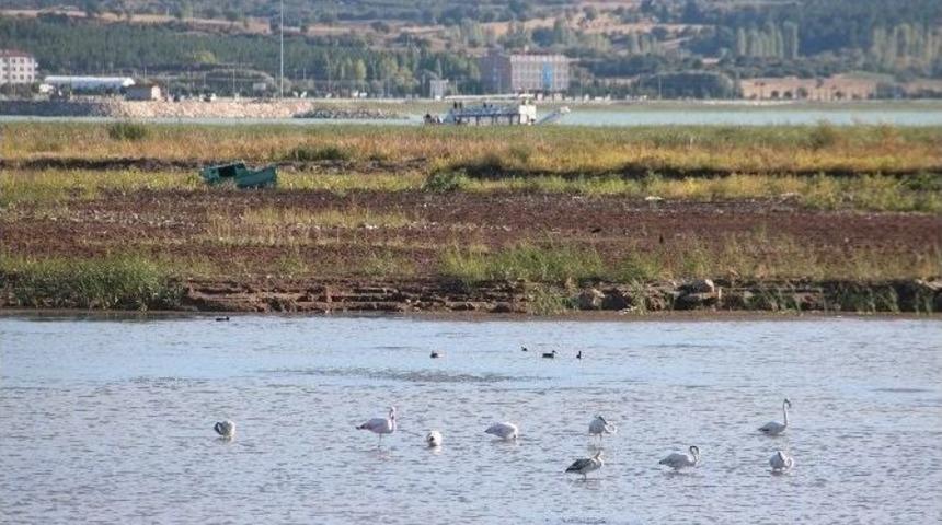 Beyşehir G&ouml;l&uuml; Kıyıları Kuraklık Nedeniyle &Ccedil;ekildi