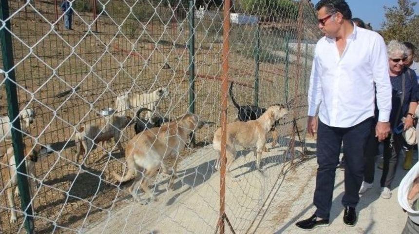 Başkan Kocadon, Alman Hayvanseverlerle Bakım Evini Ziyaret Etti