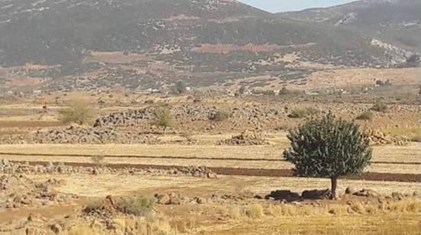 Hatay Sınırında &Ccedil;atışma