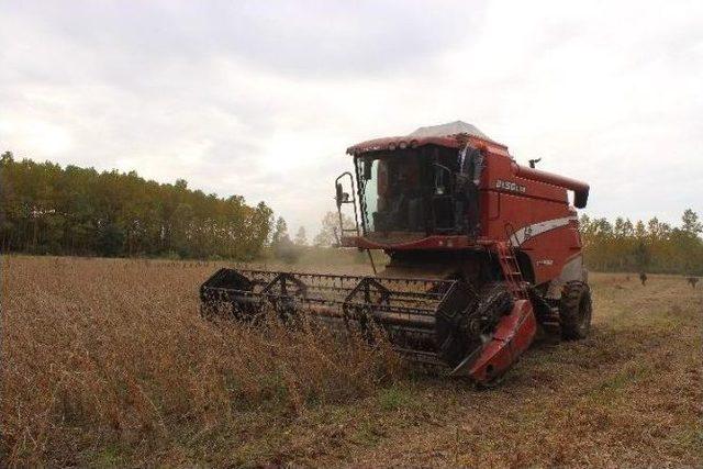 Terme&rsquo;de &ldquo;soya Yetiştiriciliği Hasat Tarla G&uuml;n&uuml;&rdquo; D&uuml;zenlendi 1