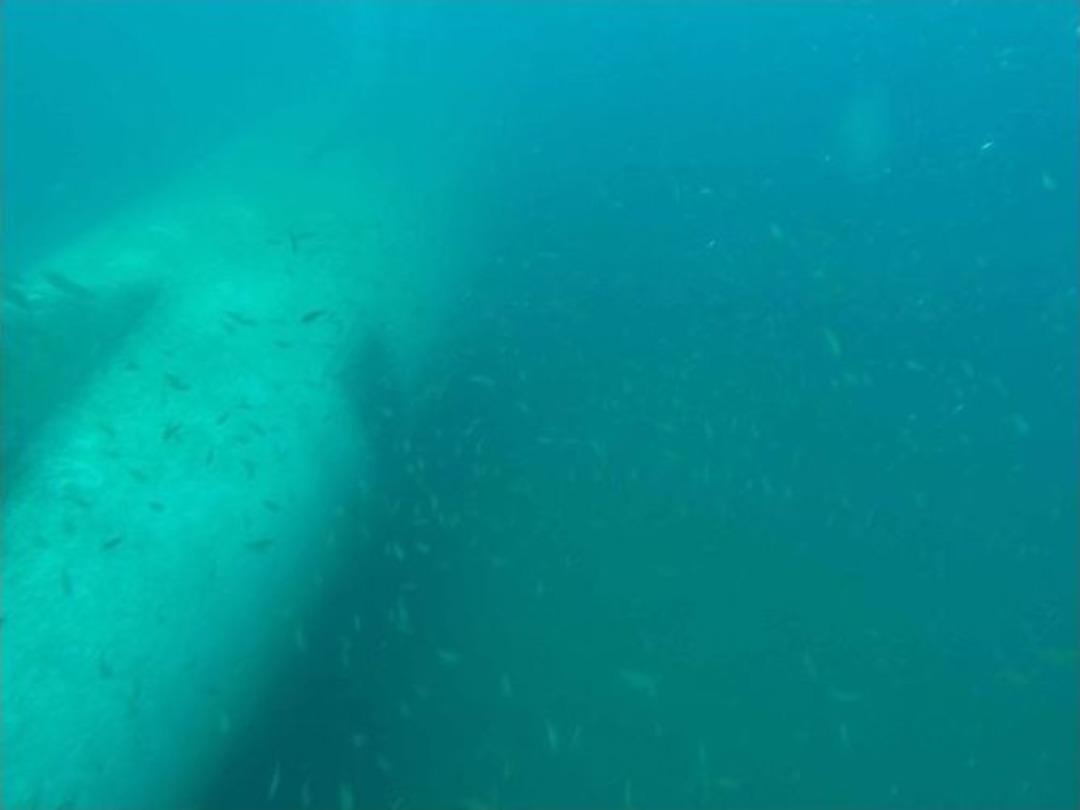 Kuşadası K&ouml;rfezi&rsquo;ndeki Airbus A300 Batığı 2 Yıl Boyunca İzlenecek