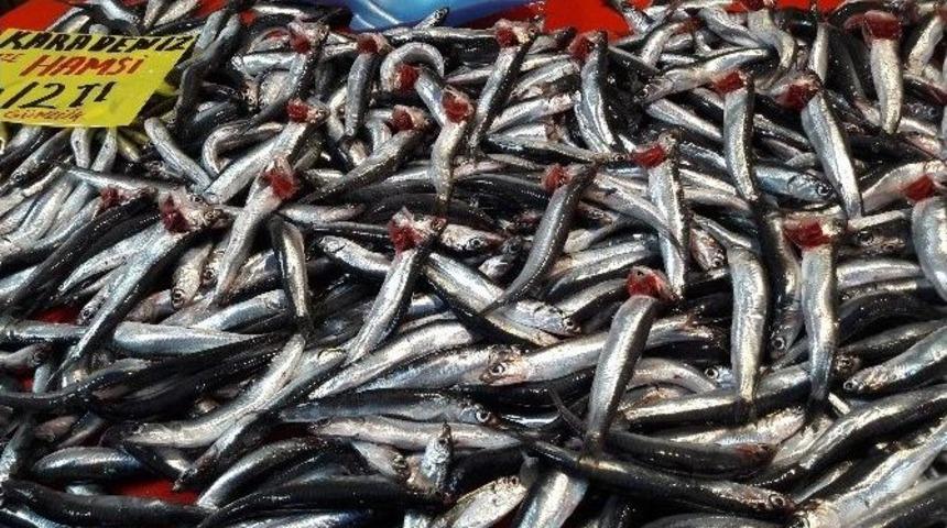 Eskişehir&rsquo;de Hamsi El Yakacak