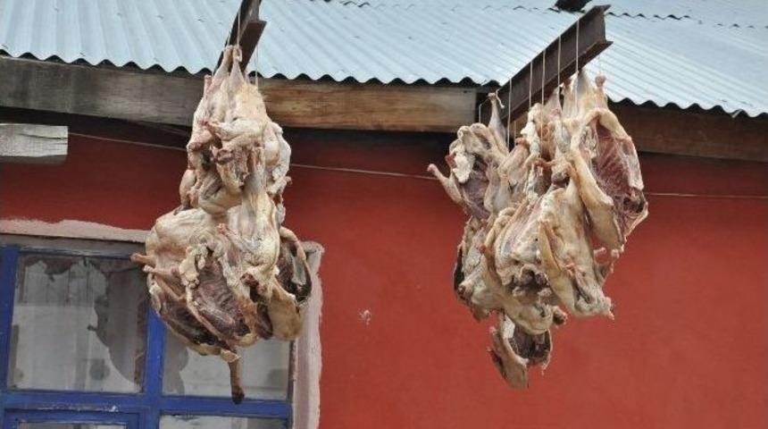 Kars&rsquo;ta Kaz Kesimi Başladı