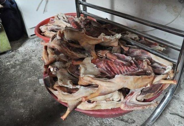 Kars&rsquo;ta Kaz Kesimi Başladı 2