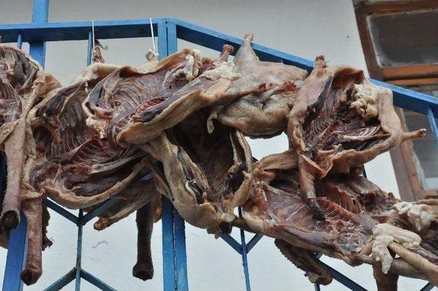 Kars&rsquo;ta Kaz Kesimi Başladı 3