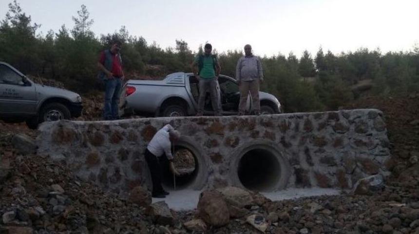 Karadağ, Orman Yolu Ve Yol &Uuml;zerine İnşa Edilen Sanat Yapılar İnceledi