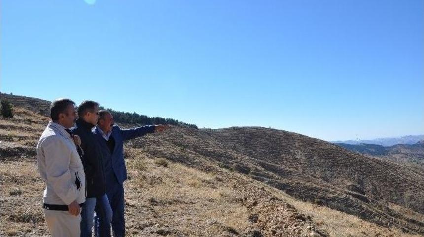 200 Bin Fidan Toprakla Buluşacak