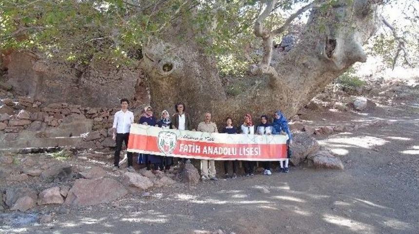 &Ouml;ğrenciler Doğanlı &Ccedil;ınarını İnceledi