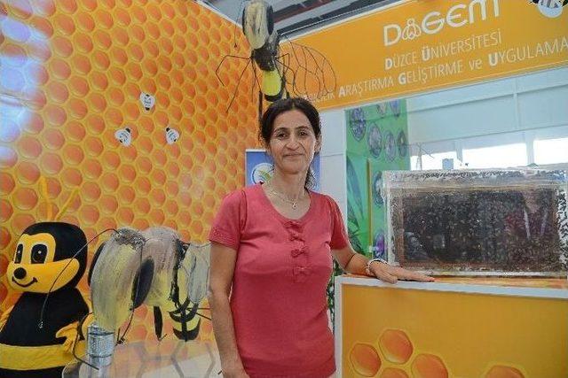 Mülayim Arılar, Expo 2016 Antalya’da