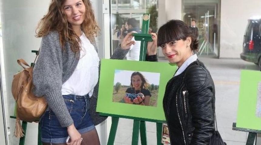 Avrupalı Gen&ccedil;ler Akhisar&rsquo;da Zeytin Topladı