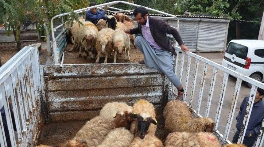 Gen&ccedil; &Ccedil;ift&ccedil;ilere Hibe Desteği Devam Ediyor