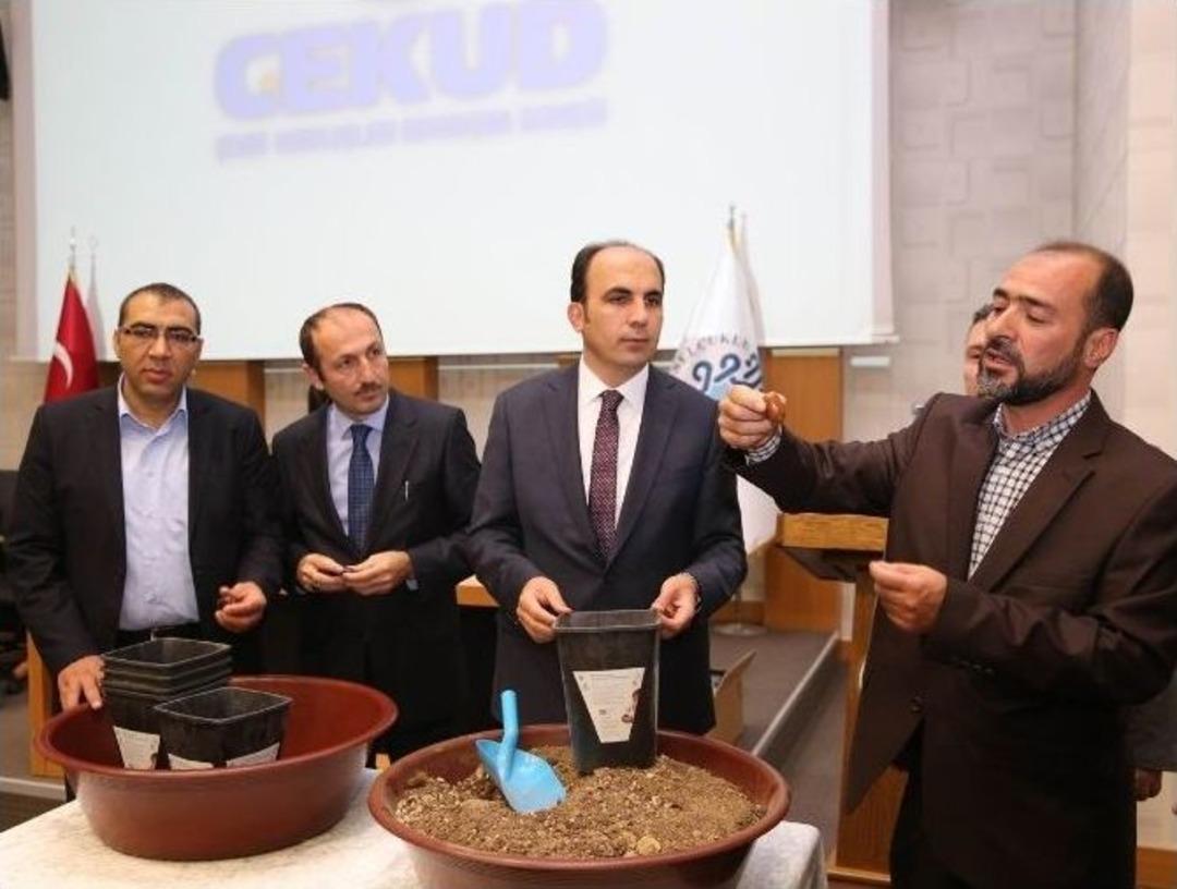 Minik Ellerde B&uuml;y&uuml;k İşler-tohumdan Fidana Projesi Tanıtıldı