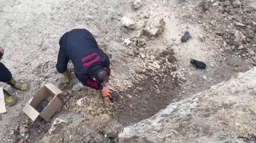 İnşaat Temeline D&uuml;şen 4 Yavru K&ouml;pek Kurtarıldı