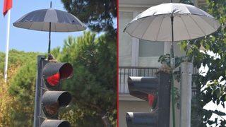 İzmir'de kumruya şemsiyeli koruma