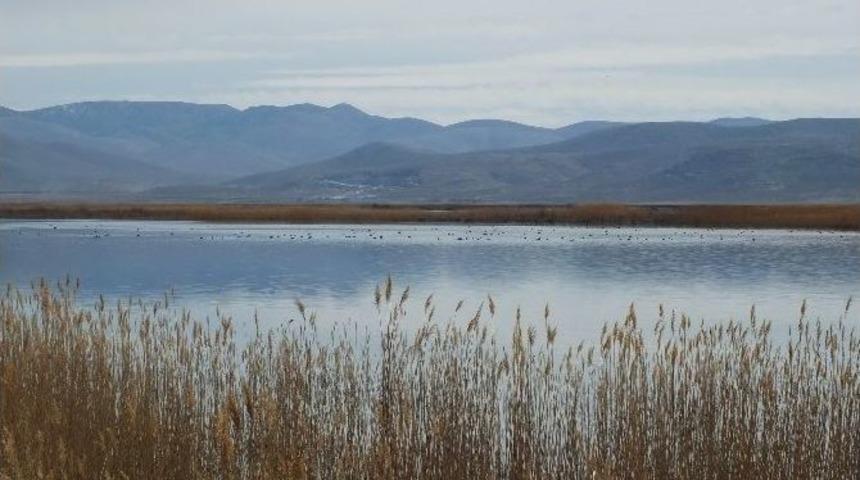 Orman Ve Su İşleri Bakanlığı Bir Projeyi Daha Tamamladı