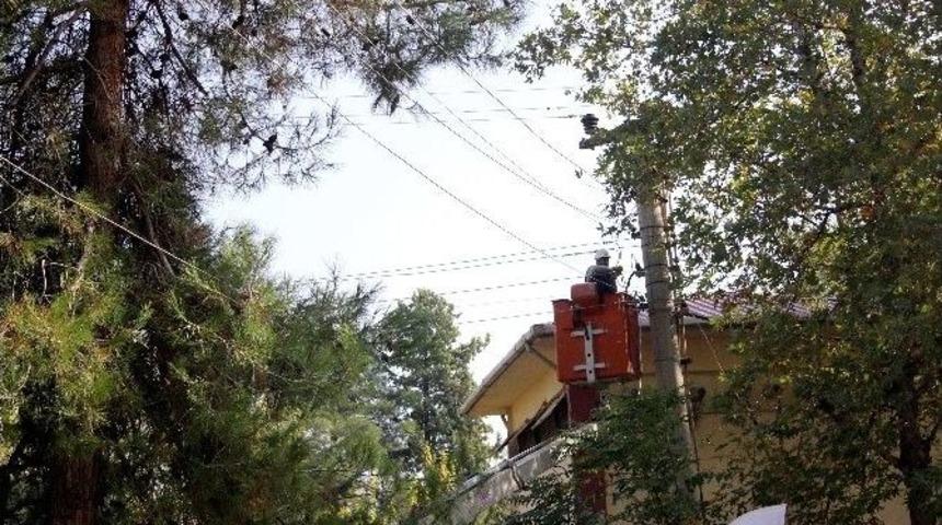 Kopan Elektrik Teli Mahalle Sakinlerini Korkuttu