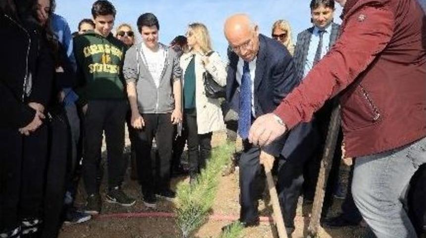 Yenimahalle&rsquo;de Fidanlar Toprakla Buluştu