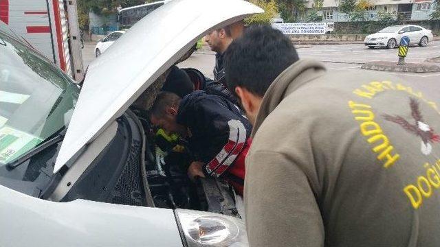 Motora Sıkışan Yavru Kedilere İtfaiye Operasyonu