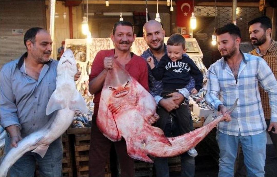 İnsan Y&uuml;zl&uuml; Balıklar Şaşırtıyor