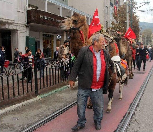 Bursa’daki Cumhuriyet Yürüyüşü’nde Deve Krizi...(özel Haber)