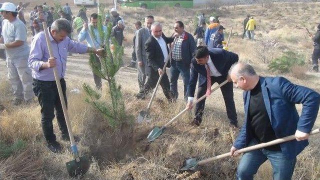 Hizmet-iş Sendikası Ağırnas’ı Yeşillendirecek