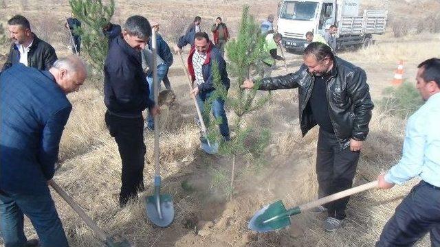 Hizmet-iş Sendikası Ağırnas’ı Yeşillendirecek