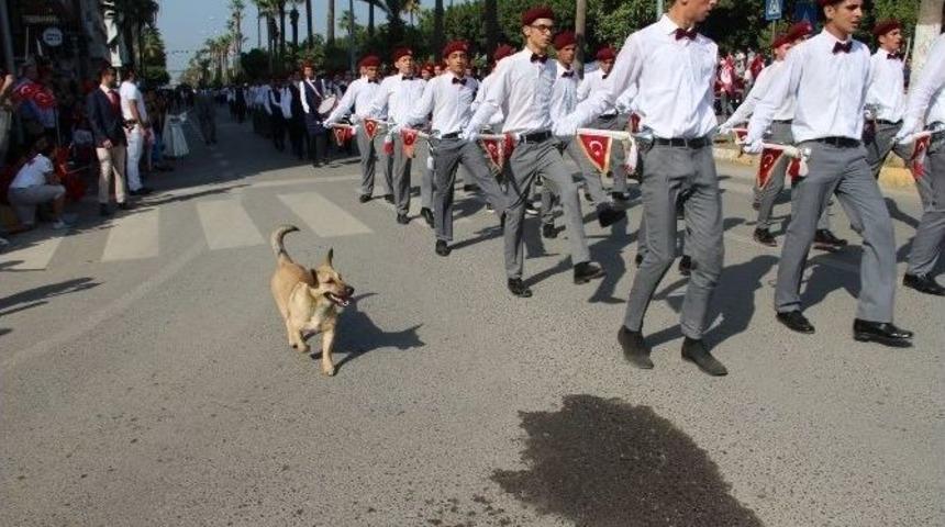 T&ouml;ren Ge&ccedil;idinde K&ouml;pek S&uuml;rprizi