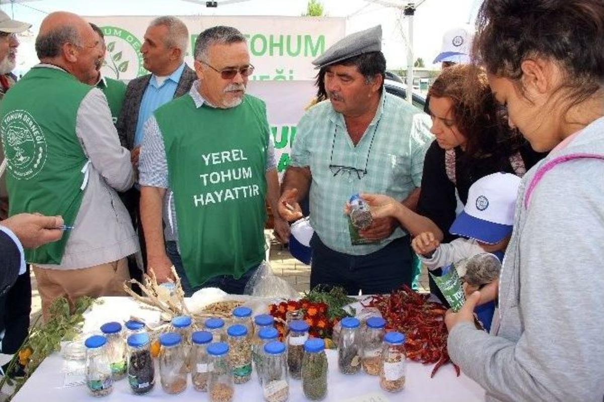 Muğla&rsquo;da &lsquo;yerel Tohum Merkezi&rsquo; A&ccedil;ıldı
