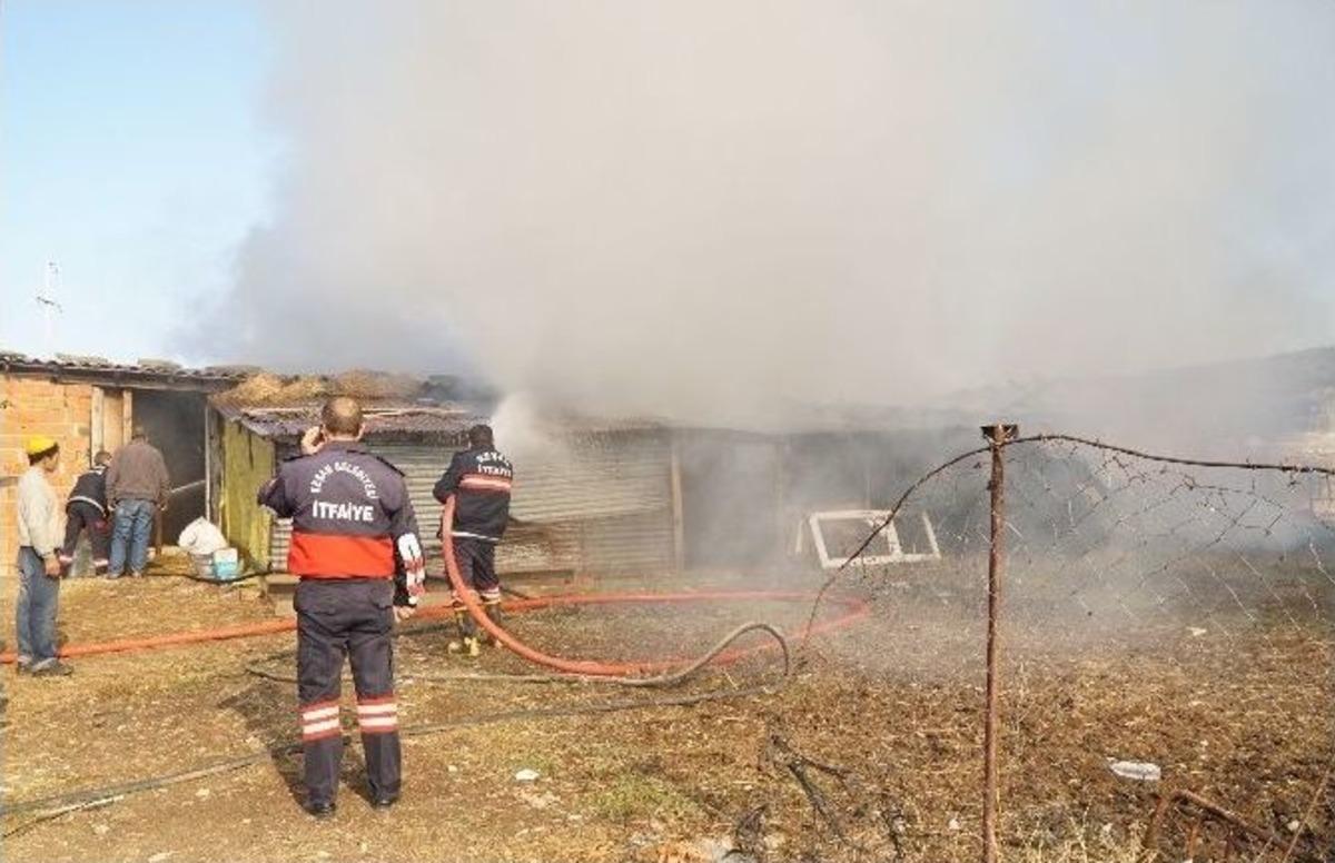 Otları Yakmak İstediler &Ccedil;iftliği Yaktılar