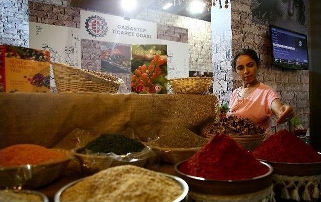 Gto, Yörex’de Gaziantep’i Tanıttı