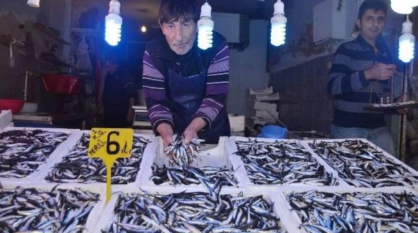 Yerli Hamsi Tezgahları S&uuml;sledi