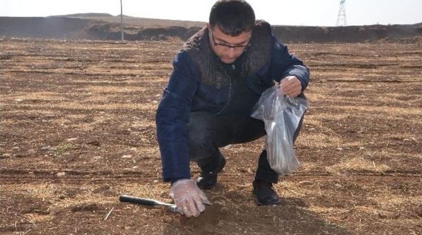 Batman&rsquo;da &lsquo;asit&rsquo; Yağmuru İncelemesi