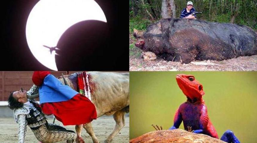 En popüler gerçek fotoğraflar