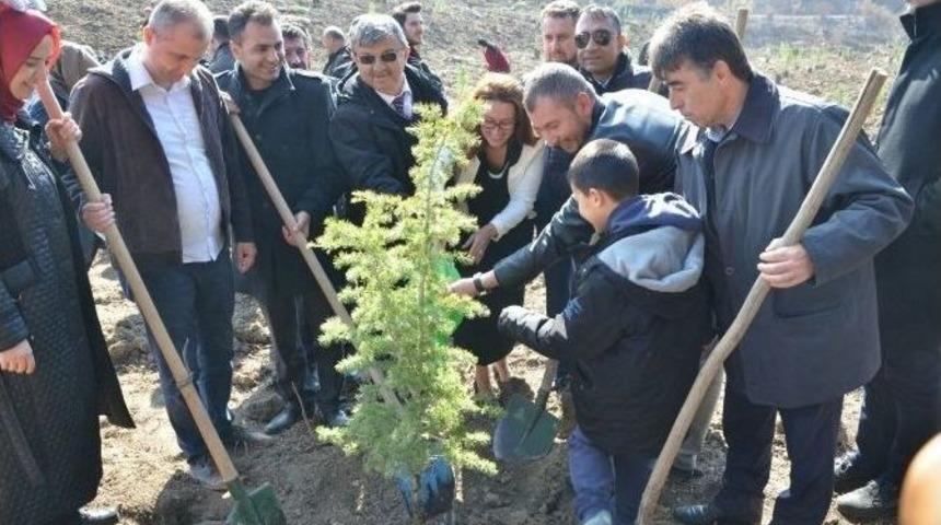 &Ccedil;anakkale&rsquo;de &Ouml;mer Halisdemir Hatıra Ormanı Oluşturuldu