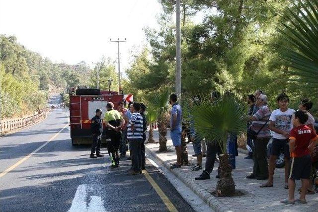 Marmaris’te Orman Yangını Büyümeden Söndürüldü