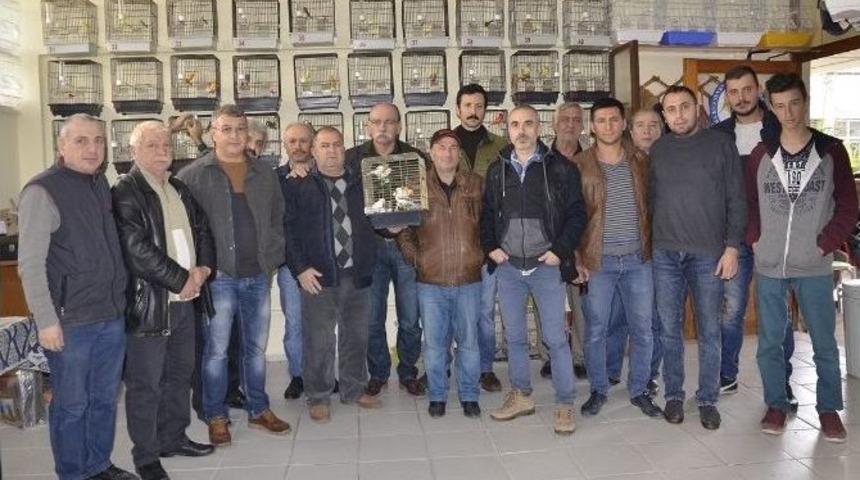 A&ccedil;ık Artırmaya &Ccedil;ıkarılan Kuşlar Havada Kapışılıyor