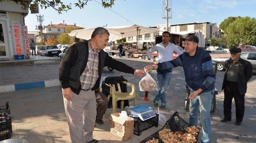 G&ouml;rdes&rsquo;te Melki Mantarı Bereketi