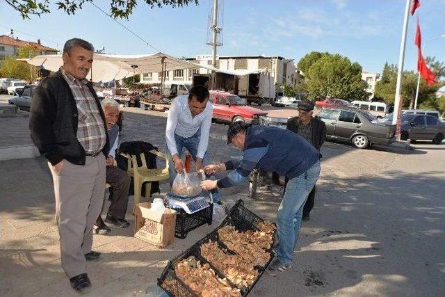 Gördes’te Melki Mantarı Bereketi