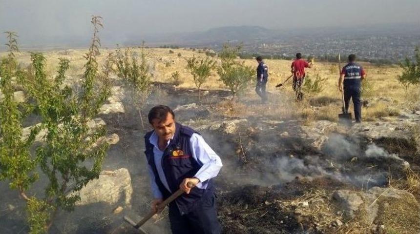 Ormanlık Alanda Yangın