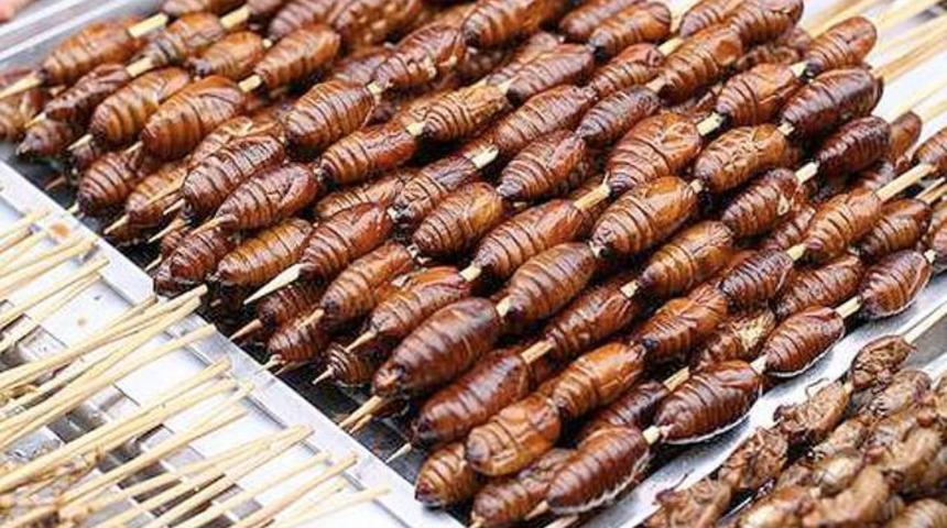 İnsanların yediği en tuhaf hayvanlar