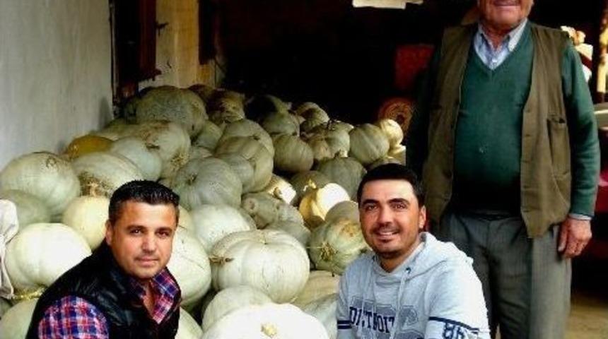 Doğal Beslenen İneklerin Verimi Daha Fazla