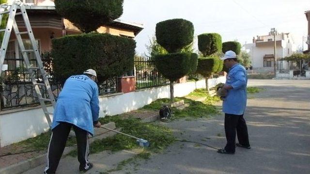 Burhaniye’de Vatandaşlar Ağaçları Tablo Gibi Yaptı