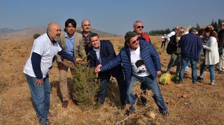 Fo&ccedil;a&rsquo;ya 13 Bin Adet Cumhuriyet Fidanı