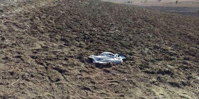 Kök Çapasıyla Hazine Ararken Jandarmaya Yakalandı 1