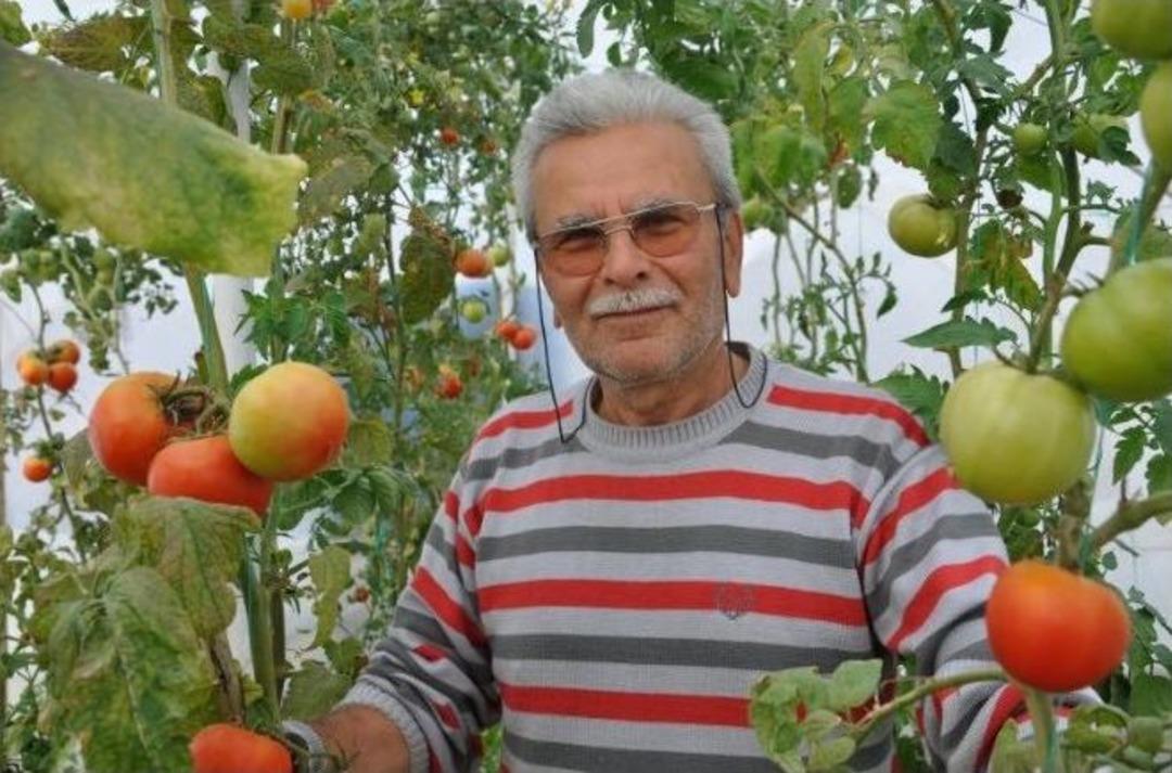 Emekli &Ouml;ğretmenden Hobi Bah&ccedil;esi