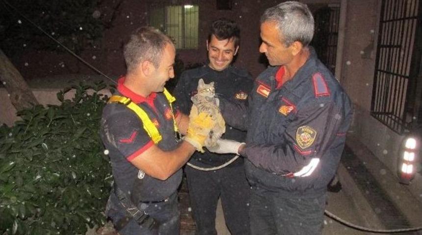 Yavru Kediyi Kurtarmak İ&ccedil;in İtfaiye Ekipleri Seferber Oldu